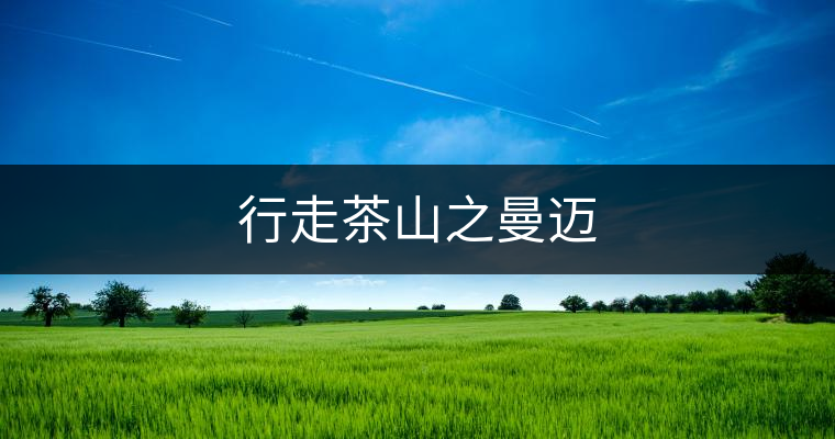 行走茶山之曼邁 行走茶山之曼邁