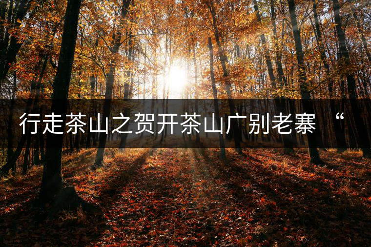 行走茶山之賀開茶山廣別老寨 “妖香”野韻 行走茶山之賀開茶山廣別老寨 “妖香”野韻
