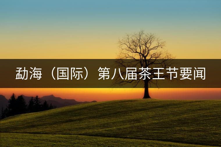 勐海（國際）第八屆茶王節(jié)要聞