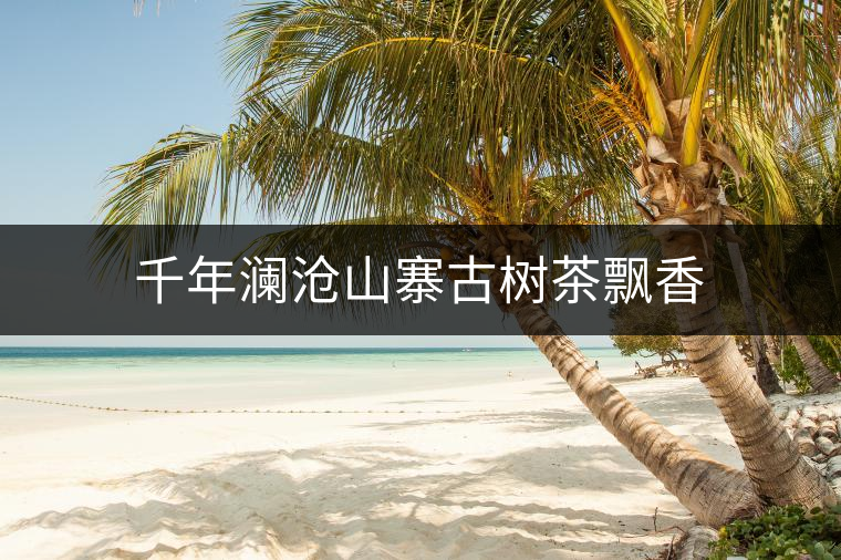 千年瀾滄山寨古樹(shù)茶飄香