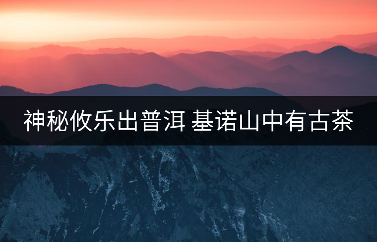 神秘攸樂出普洱 基諾山中有古茶 神秘攸樂出普洱 基諾山中有古茶