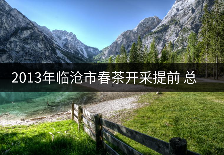 2013年臨滄市春茶開采提前 總體呈現(xiàn)量增價(jià)漲品質(zhì)優(yōu) 2013年臨滄市春茶開采提前 總體呈現(xiàn)量增價(jià)漲品質(zhì)優(yōu)