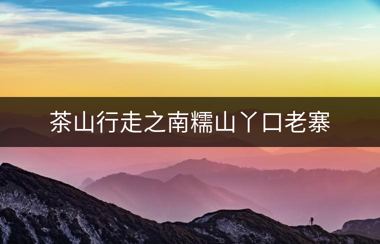 茶山行走之南糯山丫口老寨 茶山行走之南糯山丫口老寨