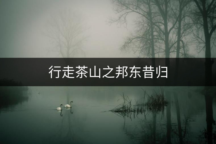 行走茶山之邦東昔歸 行走茶山之邦東昔歸