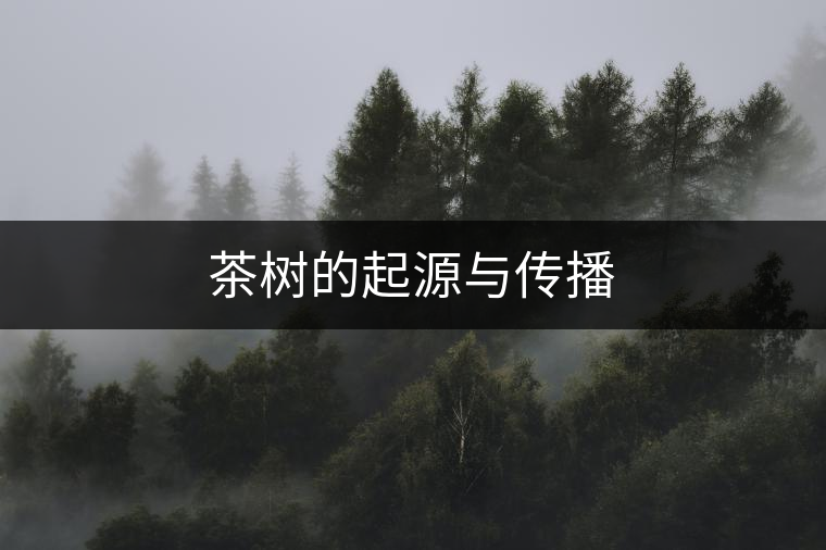 茶樹的起源與傳播 茶樹的起源與傳播