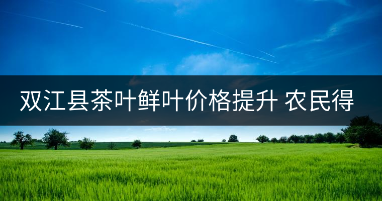雙江縣茶葉鮮葉價(jià)格提升 農(nóng)民得到實(shí)惠 雙江縣茶葉鮮葉價(jià)格提升 農(nóng)民得到實(shí)惠