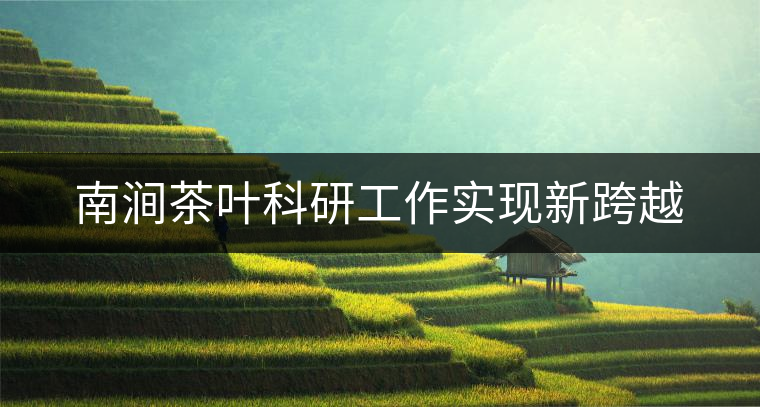 南澗茶葉科研工作實(shí)現(xiàn)新跨越 南澗茶葉科研工作實(shí)現(xiàn)新跨越