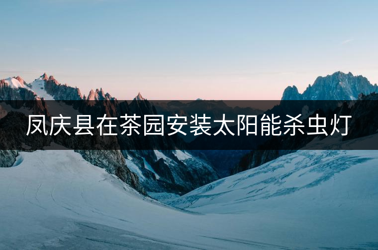 鳳慶縣在茶園安裝太陽能殺蟲燈 鳳慶縣在茶園安裝太陽能殺蟲燈