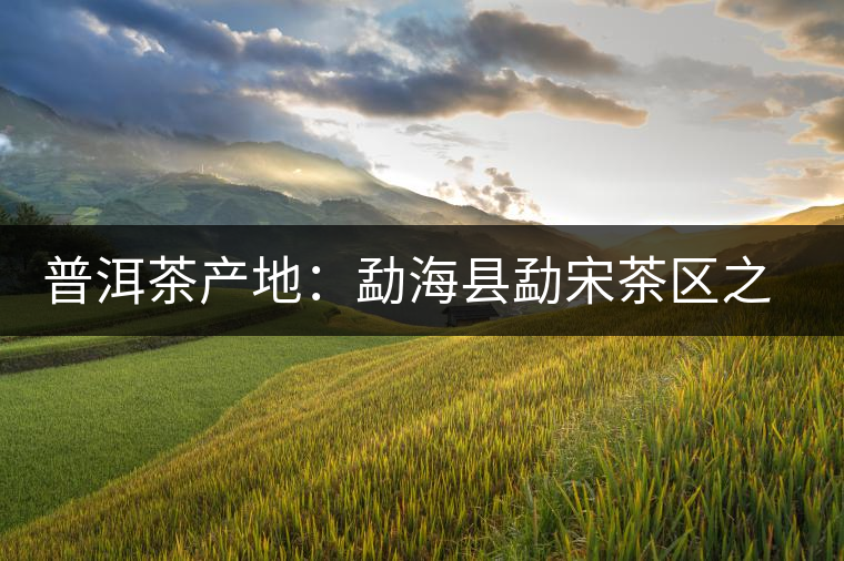 普洱茶產(chǎn)地:勐海縣勐宋茶區(qū)之那卡 普洱茶產(chǎn)地:勐??h勐宋茶區(qū)之那卡