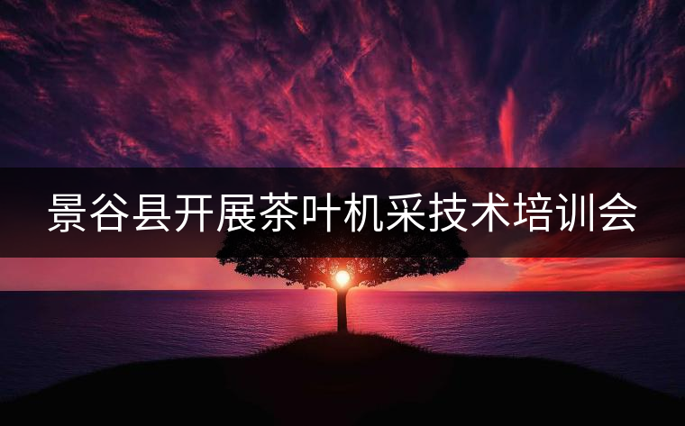 景谷縣開展茶葉機采技術(shù)培訓會 景谷縣開展茶葉機采技術(shù)培訓會