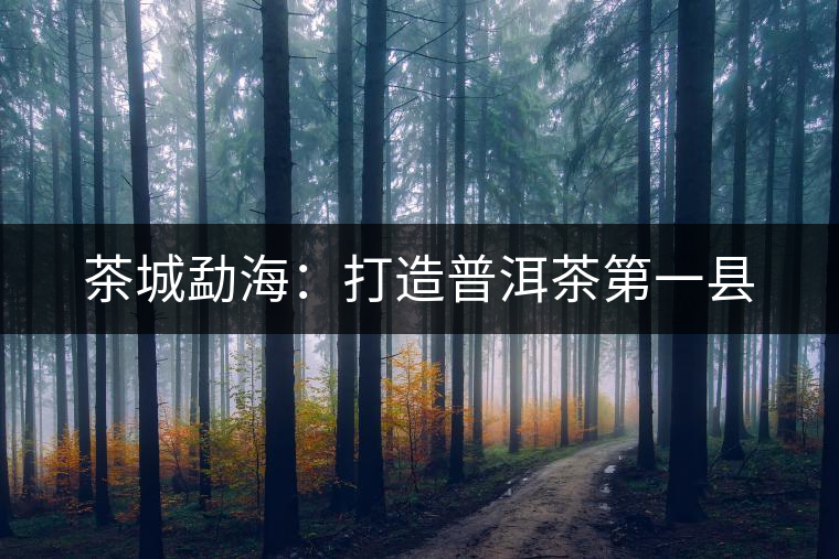 茶城勐海：打造普洱茶第一縣