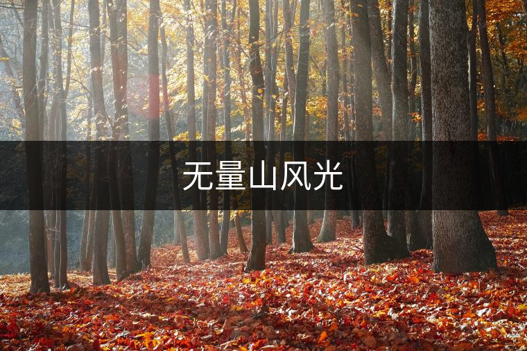 無量山風光 無量山風光