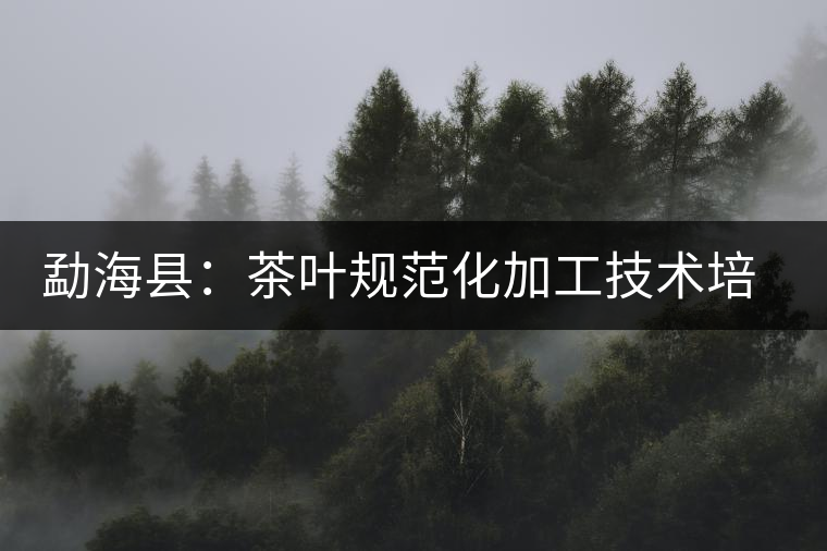 勐海縣:茶葉規(guī)范化加工技術(shù)培訓(xùn) 勐??h:茶葉規(guī)范化加工技術(shù)培訓(xùn)