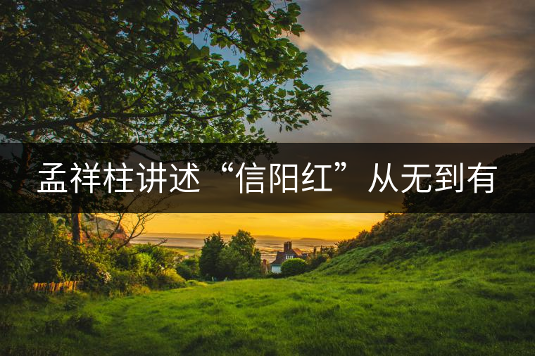 孟祥柱講述“信陽紅”從無到有 孟祥柱講述“信陽紅”從無到有