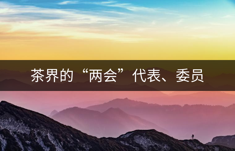 茶界的“兩會”代表、委員