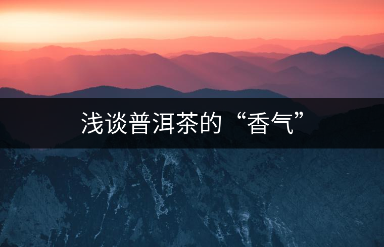 淺談普洱茶的“香氣” 淺談普洱茶的“香氣”