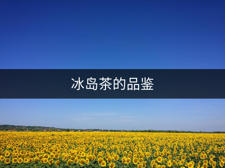 冰島茶的品鑒 冰島茶的品鑒