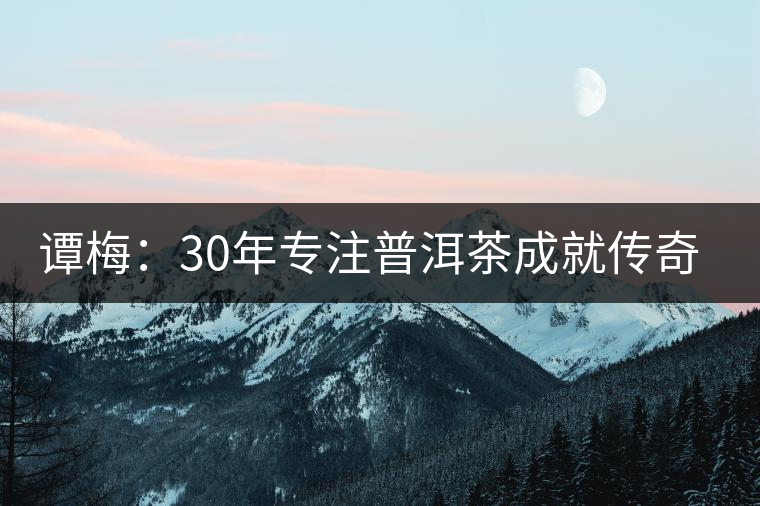 譚梅：30年專注普洱茶成就傳奇人生