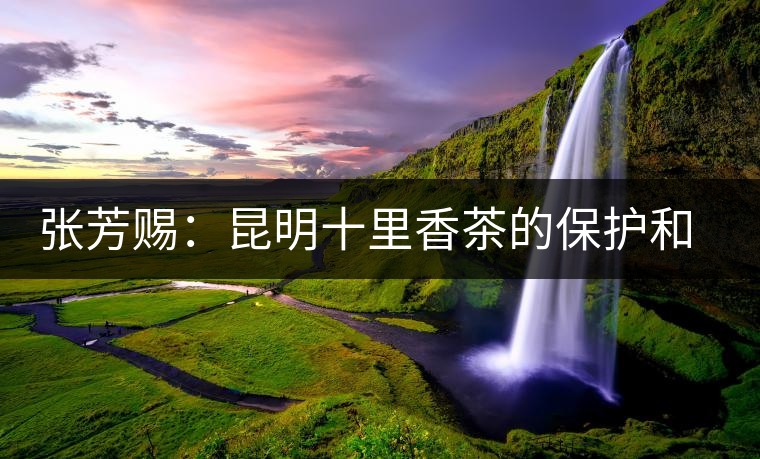 張芳賜:昆明十里香茶的保護(hù)和研究者 張芳賜:昆明十里香茶的保護(hù)和研究者