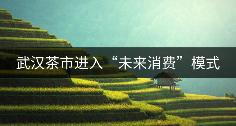 武漢茶市進(jìn)入“未來消費(fèi)”模式