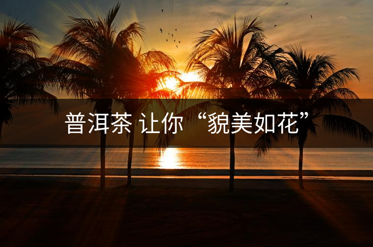 普洱茶 讓你“貌美如花” 普洱茶 讓你“貌美如花”