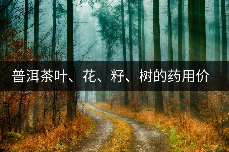 普洱茶葉、花、籽、樹(shù)的藥用價(jià)值