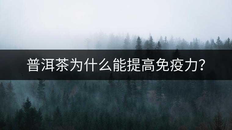普洱茶為什么能提高免疫力？