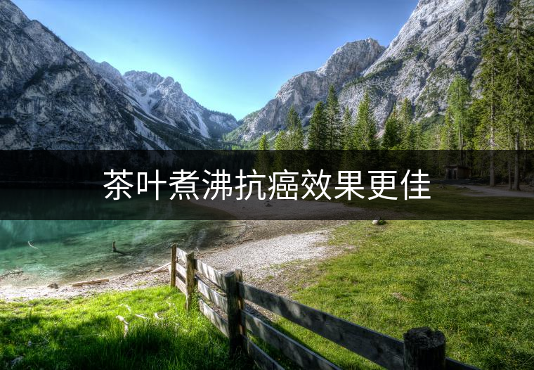茶葉煮沸抗癌效果更佳 茶葉煮沸抗癌效果更佳