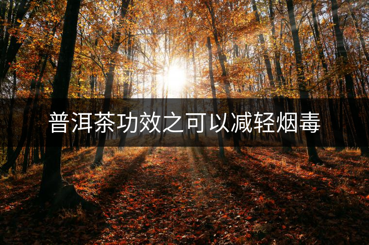 普洱茶功效之可以減輕煙毒 普洱茶功效之可以減輕煙毒