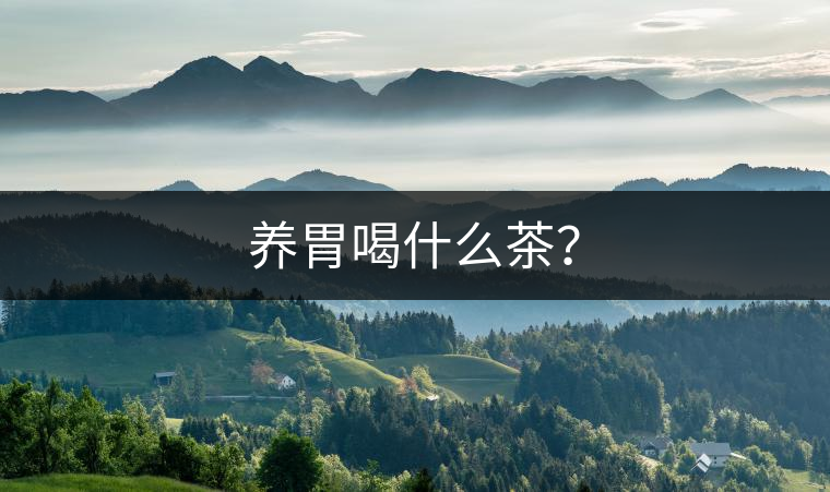 養(yǎng)胃喝什么茶？