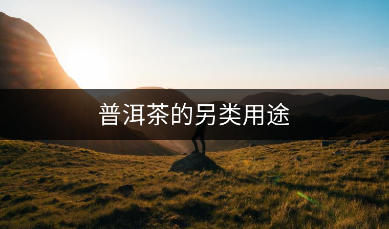 普洱茶的另類用途 普洱茶的另類用途