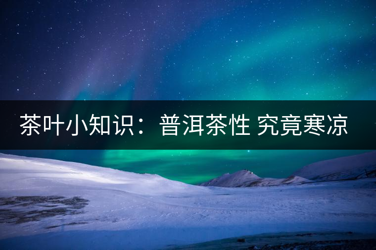 茶葉小知識：普洱茶性 究竟寒涼溫熱？