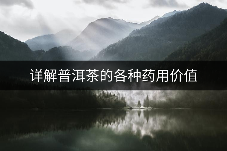 詳解普洱茶的各種藥用價(jià)值 詳解普洱茶的各種藥用價(jià)值