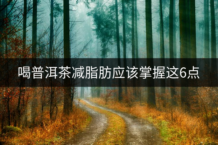 喝普洱茶減脂肪應該掌握這6點 喝普洱茶減脂肪應該掌握這6點