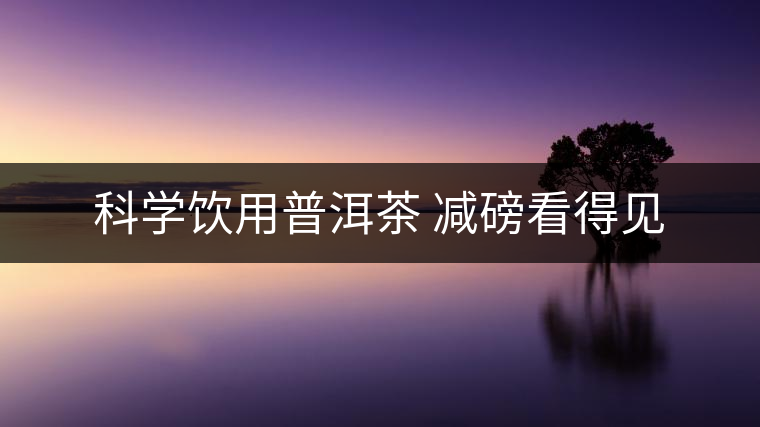 科學飲用普洱茶 減磅看得見