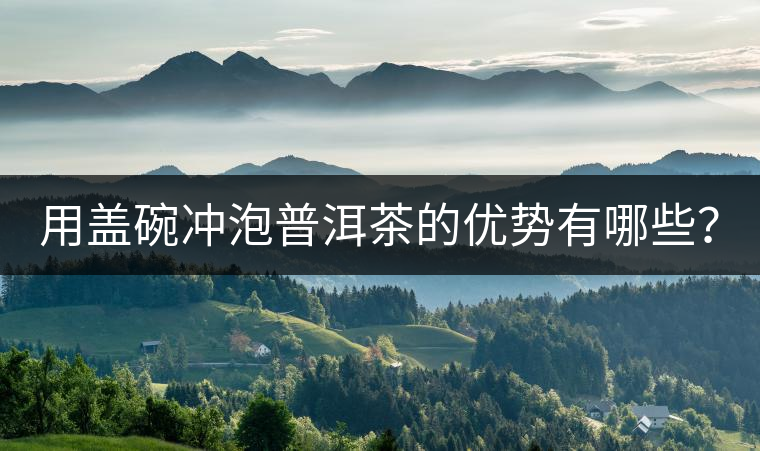 用蓋碗沖泡普洱茶的優(yōu)勢有哪些？