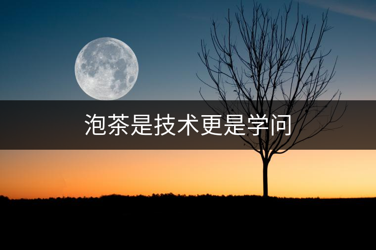 泡茶是技術(shù)更是學(xué)問 泡茶是技術(shù)更是學(xué)問