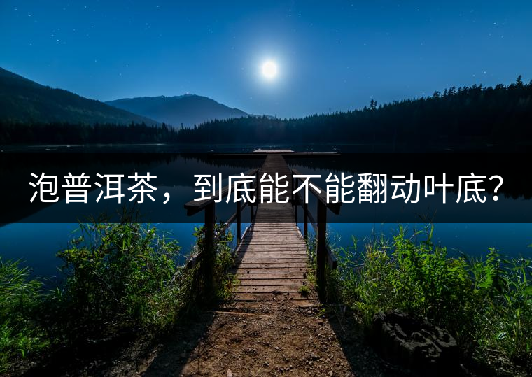 泡普洱茶，到底能不能翻動(dòng)葉底？