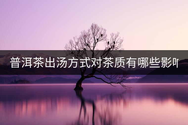 普洱茶出湯方式對茶質有哪些影響？