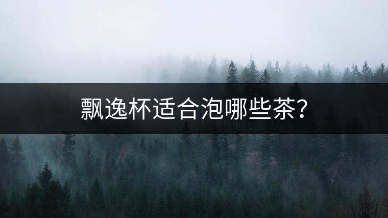 飄逸杯適合泡哪些茶？