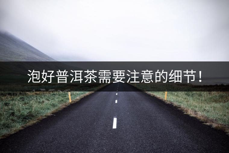 泡好普洱茶需要注意的細節(jié)！
