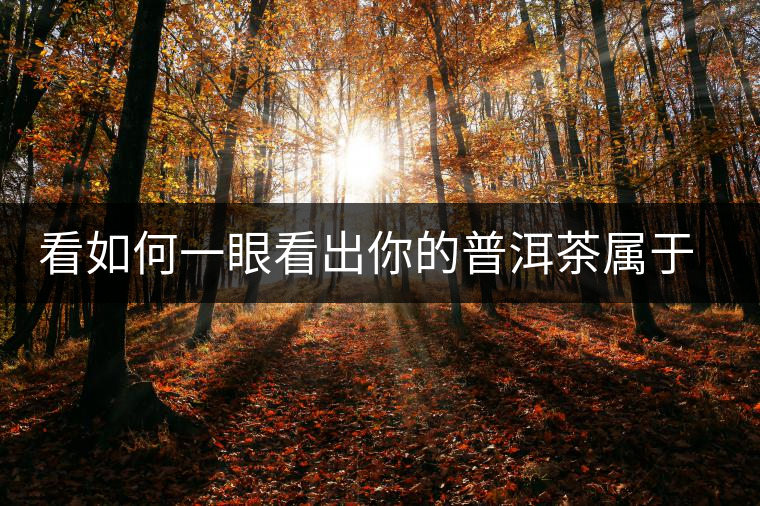 看如何一眼看出你的普洱茶屬于哪個(gè)歷史年代? 看如何一眼看出你的普洱茶屬于哪個(gè)歷史年代?
