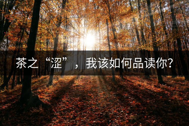 茶之“澀”，我該如何品讀你？