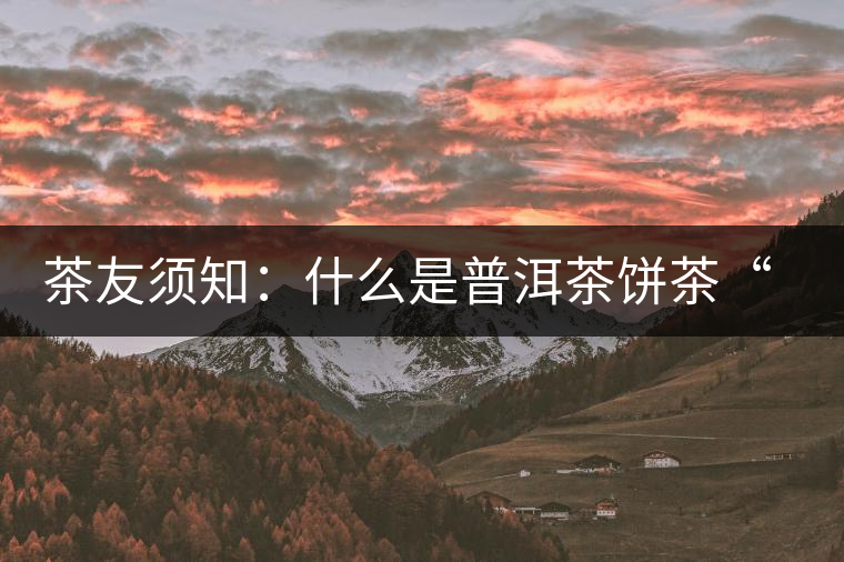 茶友須知：什么是普洱茶餅茶“八病”？如何鑒別？