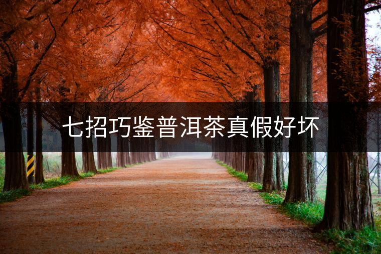 七招巧鑒普洱茶真假好壞 七招巧鑒普洱茶真假好壞