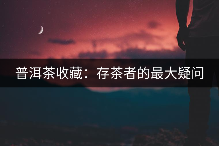 普洱茶收藏:存茶者的最大疑問 普洱茶收藏:存茶者的最大疑問