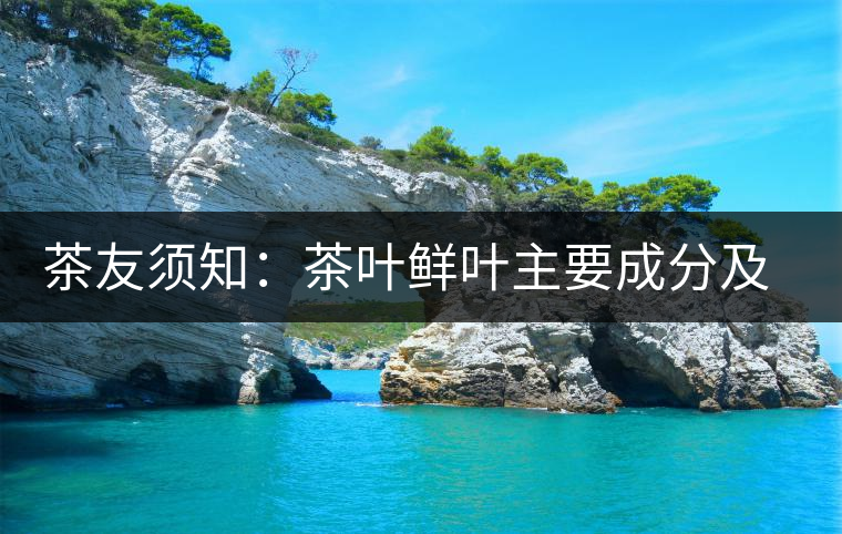 茶友須知:茶葉鮮葉主要成分及其效果 茶友須知:茶葉鮮葉主要成分及其效果