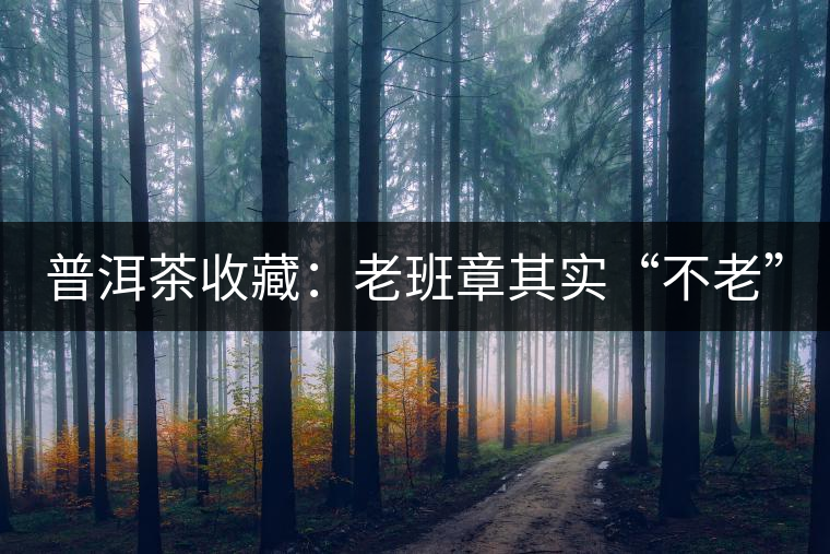 普洱茶收藏：老班章其實(shí)“不老”