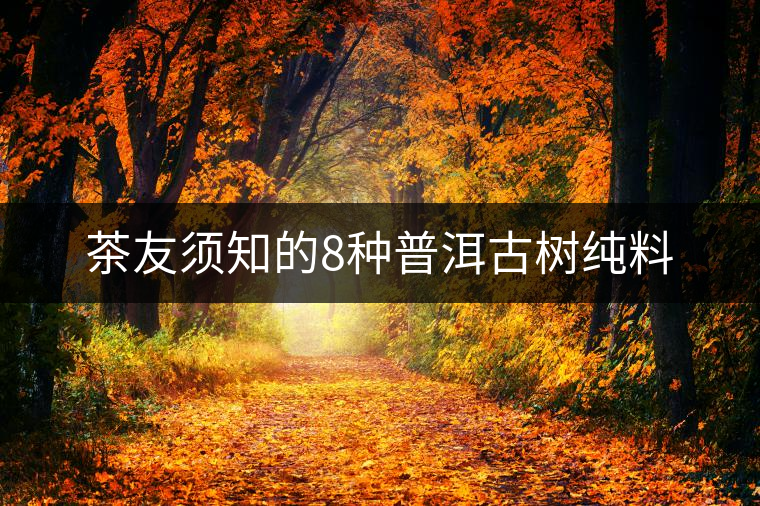 茶友須知的8種普洱古樹純料 茶友須知的8種普洱古樹純料