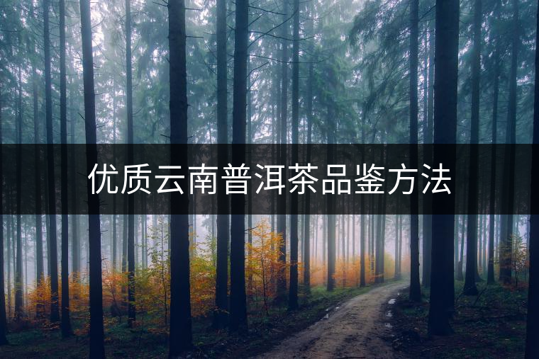 優(yōu)質(zhì)云南普洱茶品鑒方法 優(yōu)質(zhì)云南普洱茶品鑒方法